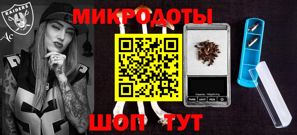 Сухой Лог  Псилоцибиновые грибы прущие грибы  Вход с VPN 