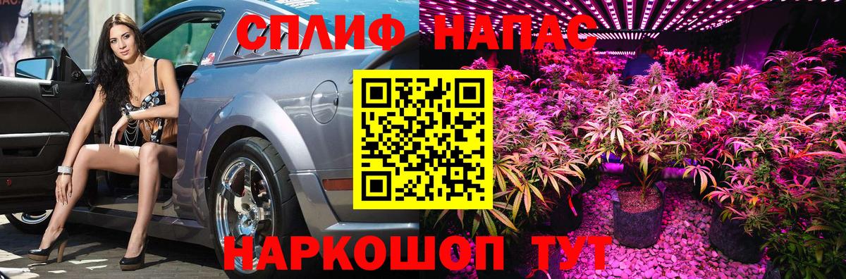 Канабис план Сухой Лог